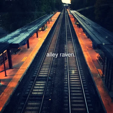 Alley Raven