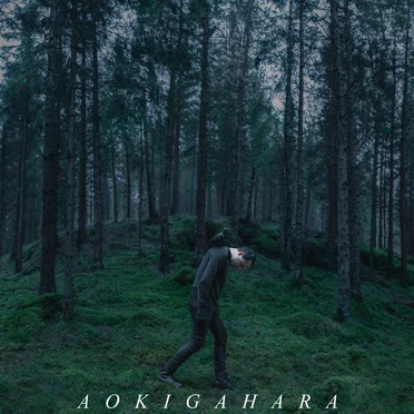 aokigahara by aokigahara - album cover
