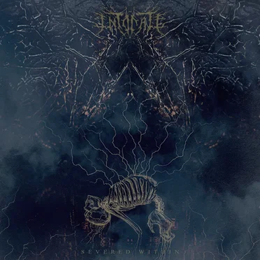 Severed Within by Intonate - album cover