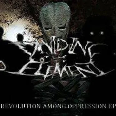 Revolution Among Oppresion