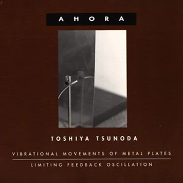 Vibrational Movements of Metal Plates / Limiting Feedback Oscillation
