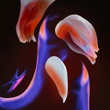 Metamorphosis by Sestrica - album cover