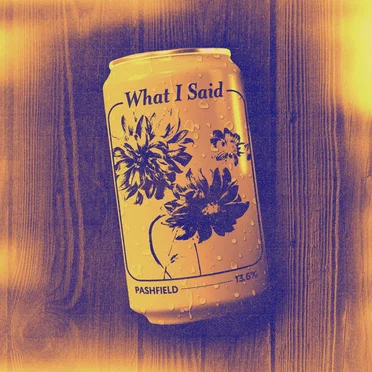 What I Said by Pashfield - album cover