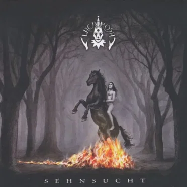 Sehnsucht / I Lost My Star