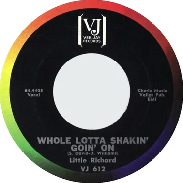 Whole Lotta Shakin' Goin' On / Goodnight Irene