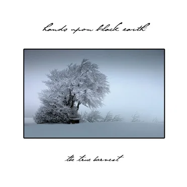 The True Harvest by Hands Upon Black Earth - album cover