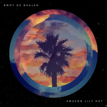 Amazon Lily Hut by Bwoy de Bhajan - album cover