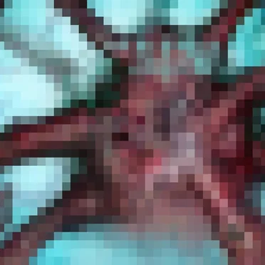 Vampire Squid