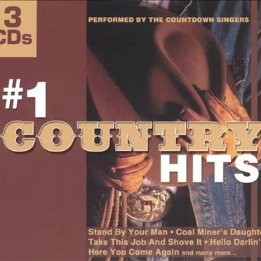 #1 Country Hits