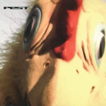 Chicken Spit by Pest - album cover