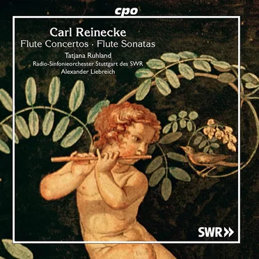 Flute Concertos; Flute Sonatas