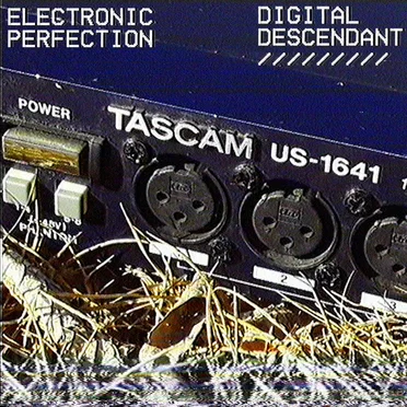 ELECTRONIC PERFECTION