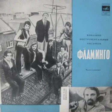 Вокально-Инструментальный Ансамбль «Фламинго»