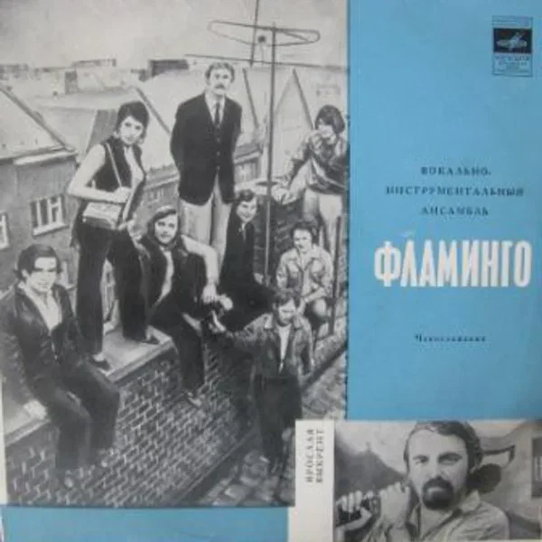 Вокально-Инструментальный Ансамбль «Фламинго»