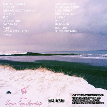 DRR020 by Various Artists - album cover