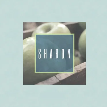 SHABON by indigo2 - album cover