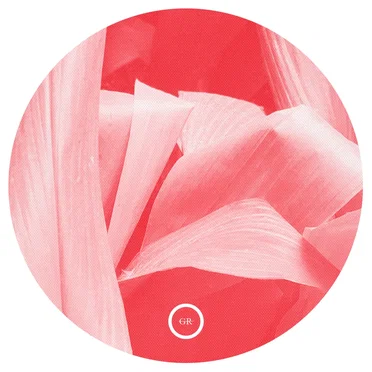 Battered From the Fall