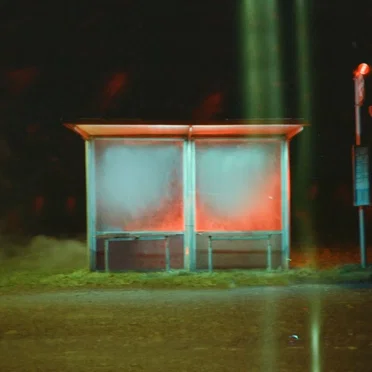 The Last Man on Earth (lullaby version)