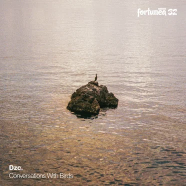 Conversations With Birds by Dzc. - album cover