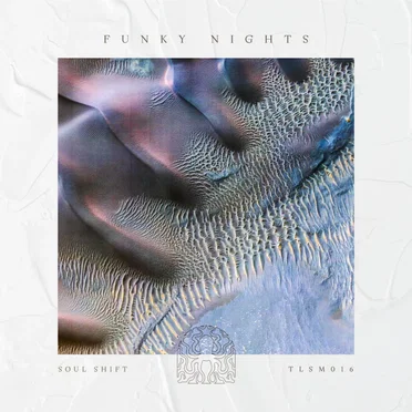 Funky Nights EP by Soul Shift - album cover