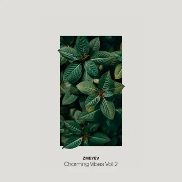 Charming Vibes, Vol. 2