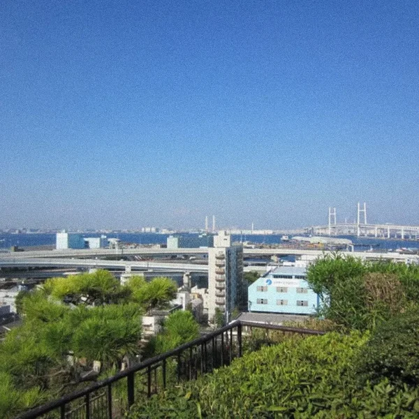 Harbor View Park