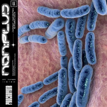 Prokaryota EP by Non:Plus - album cover