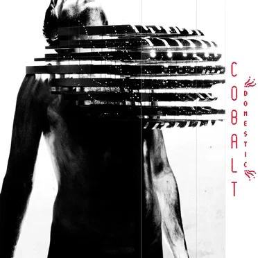 Domestic by Cobalt - album cover