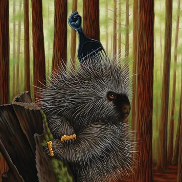 Medicine Show No. 11: Low Budget High Fi Music