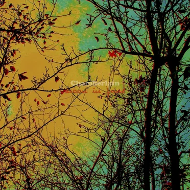 Moon in June / Superstition EP by Chamberlain - album cover