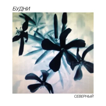 Северный