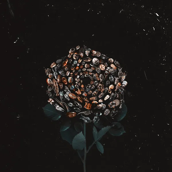 LD031 Geju & Iorie – V Forme Roz Ep