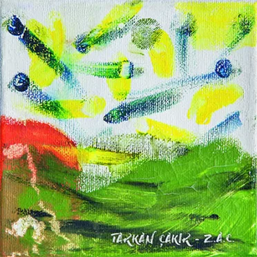 Tarkan Çakır