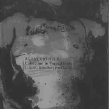 Collection in Formaldeide