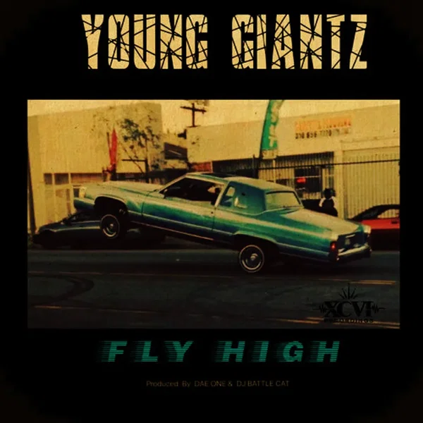 Fly High