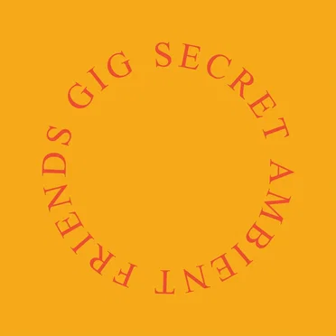 Secret Ambient Friends Gig