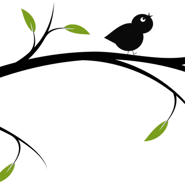 Branch