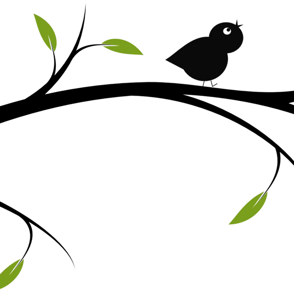 Branch