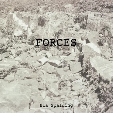 Forces by Ela Spalding - album cover