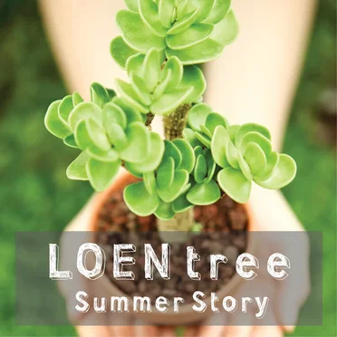 LOEN TREE Summer Story by 로엔트리 - album cover