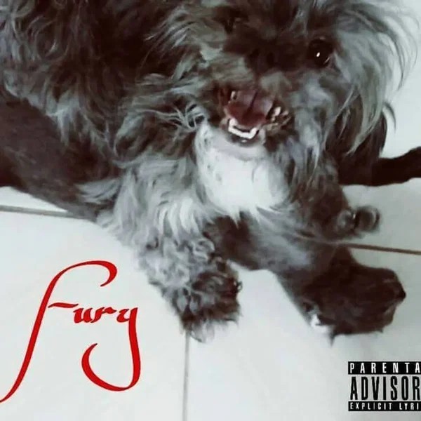 Fury