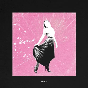 Bird by Big Society - album cover