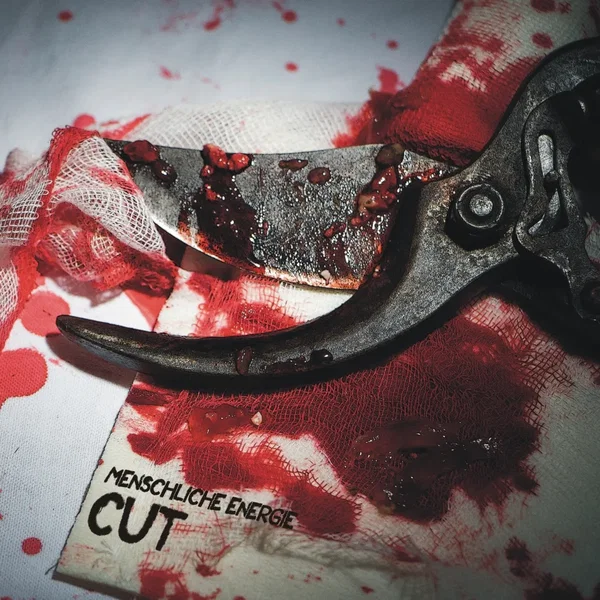 < Cut > Snippets