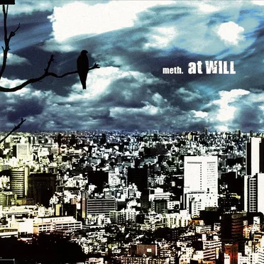 at WILL