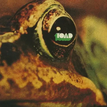 Toad