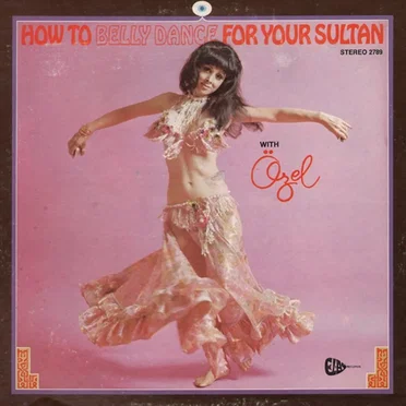How To Belly Dance For Your Sultan by Özel Türkbas - album cover