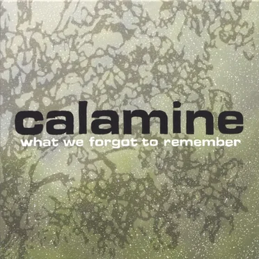 What We Forgot to Remember by Calamine - album cover
