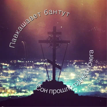 Павкашавет бантут