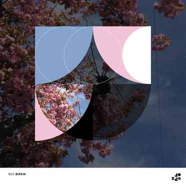 Processed Field Recordings