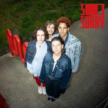 We Are So Sorry